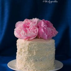 Audrey's Pink Ombré Vanilla Cake